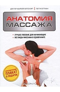 - Анатомия массажа