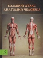 Винс Перез - Большой атлас анатомии человека