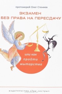  Протоиерей Олег Стеняев - Экзамен без права на пересдачу, или Как пройти мытарства