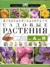Валентин Воронцов - Садовые растения от А до Я