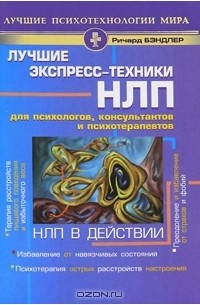 НЛП в действии. Лучшие экспресс-техники НЛП для психологов, консультантов и психотерапевтов