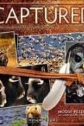  - Captured: Lessons from Behind the Lens of a Legendary Wildlife Photographer (Voices That Matter)