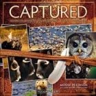  - Captured: Lessons from Behind the Lens of a Legendary Wildlife Photographer (Voices That Matter)