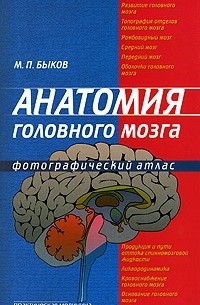 Максим Быков - Анатомия головного мозга. Фотографический атлас