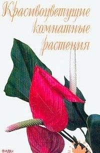 Красивоцветущие Комнатные Растения Фото