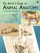 Gottfried Bammes - The Artist&#039;s Guide to Animal Anatomy