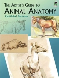 Gottfried Bammes - The Artist's Guide to Animal Anatomy