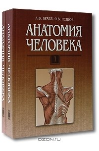 Анатомия для студентов медицинских колледжей. Учебник по анатомии. Анатомия для медицинских вузов. Анатомия человека учебник. Учебник по анатомии для медицинских.