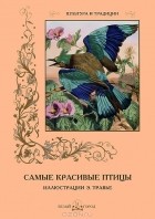 С. Иванов - Самые красивые птицы
