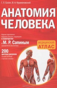  - Анатомия человека