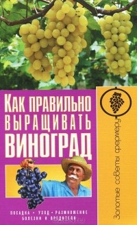  - Как правильно выращивать виноград