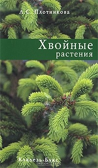 Лилиан Плотникова - Хвойные растения