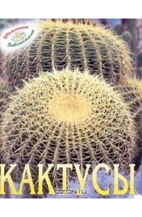 Татьяна Анисимова - Кактусы