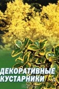 Любовь Мовсесян - Декоративные кустарники