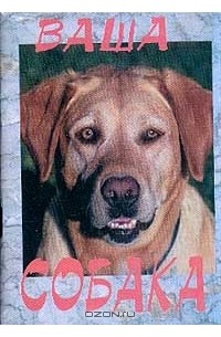 Ваша собака