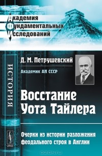 Д. М. Петрушевский - Восстание Уота Тайлера. Очерки из истории разложения феодального строя в Англии