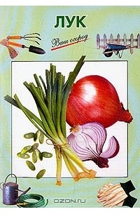 Лук
