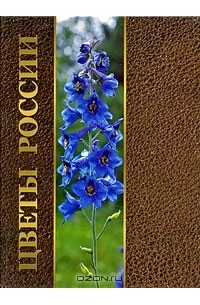  - Цветы России. Выпуск 1