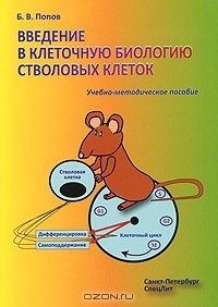 Борис Попов - Введение в клеточную биологию стволовых клеток