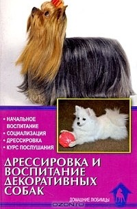 Дрессировка и воспитание декоративных собак