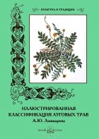 Н. Зубова - Иллюстрированная классификация луговых трав А. Ю. Лашкарева