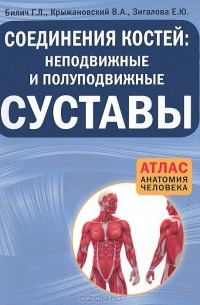  - Соединения костей. Неподвижные и полуподвижные суставы