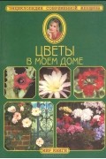 Цветы в моем доме