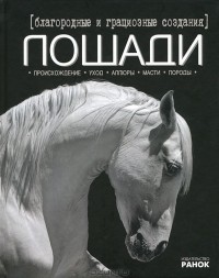 Екатерина Шейкина - Благородные и грациозные создания - лошади