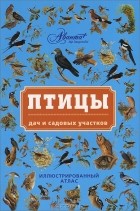 Владимир Бабенко - Птицы дач и садовых участков. Иллюстрированный атлас