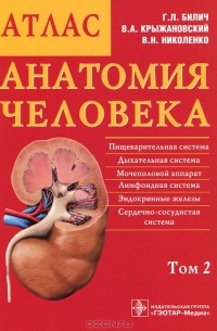  - Анатомия человека. Атлас. В 3 томах. Том 2