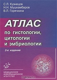  - Атлас по гистологии, цитологии и эмбриологии