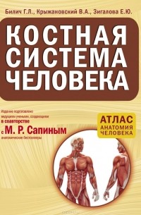  - Костная система человека. Атлас