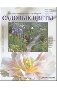 Садовые цветы