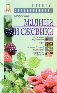 Евгений Ярославцев - Малина и ежевика