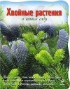 Мая Александрова - Хвойные растения в вашем саду