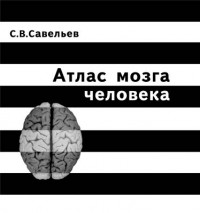 Савельев С.В. - Атлас мозга человека