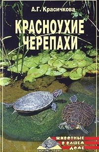 Анастасия Красичкова - Красноухие черепахи