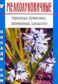 Наталья Петренко - Мелколуковичные (пролеска, пушкиния, хионодокса, камассия)