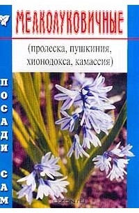 Наталья Петренко - Мелколуковичные (пролеска, пушкиния, хионодокса, камассия)