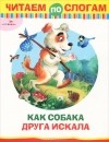 Руслан Синкевич - Как собака друга искала (сборник)