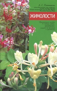 Лилиан Плотникова - Жимолости