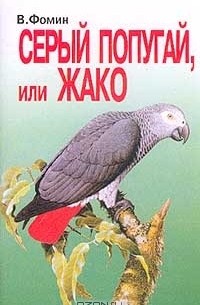Серый попугай, или Жако
