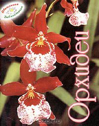 без автора - Орхидеи (миниатюрное издание)