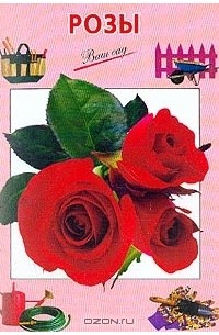 Розы