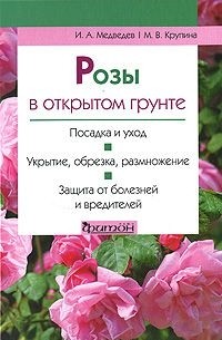  - Розы в открытом грунте