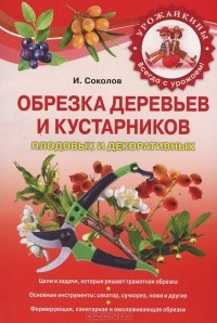 Илья Соколов - Обрезка деревьев и кустарников плодовых и декоративных