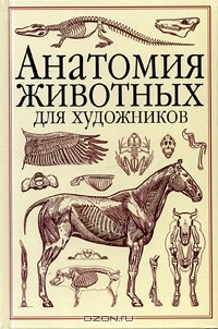 Вильгельм Танк - Анатомия животных для художников