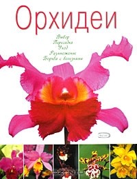 Владимир Михеев - Орхидеи