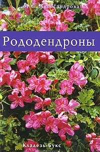 Мая Александрова - Рододендроны