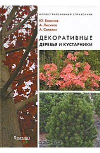 Декоративные деревья и кустарники